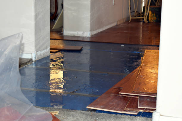 Professional Sewage Cleanup technician working in Midfield, TX